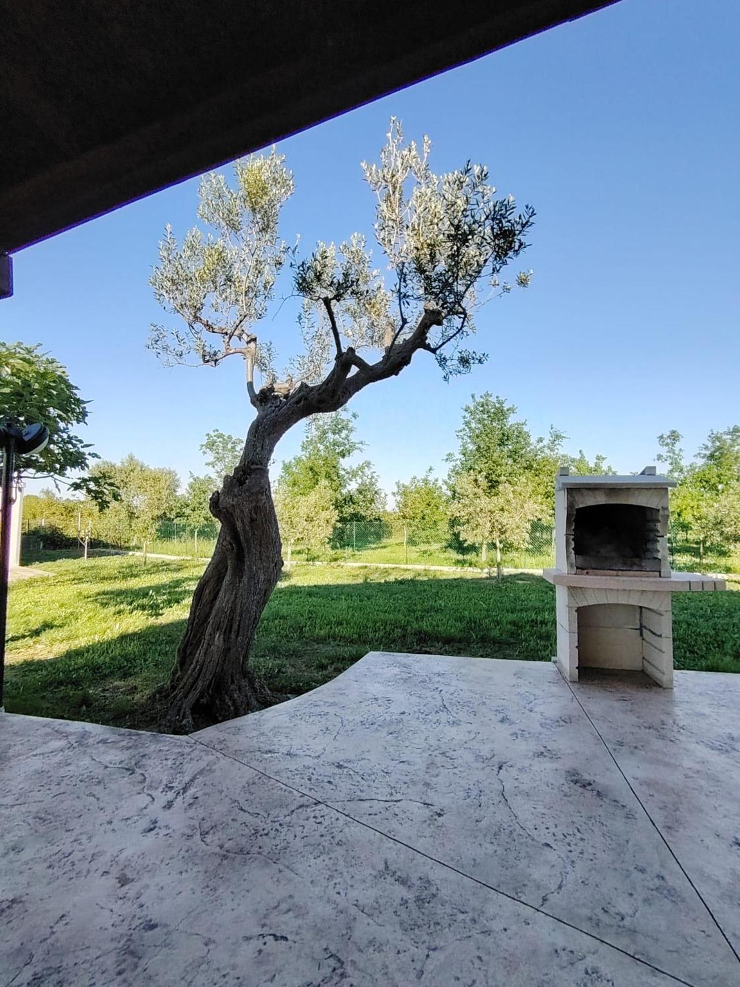 Casale Nel Verde San Vito Chietino Zewnętrze zdjęcie